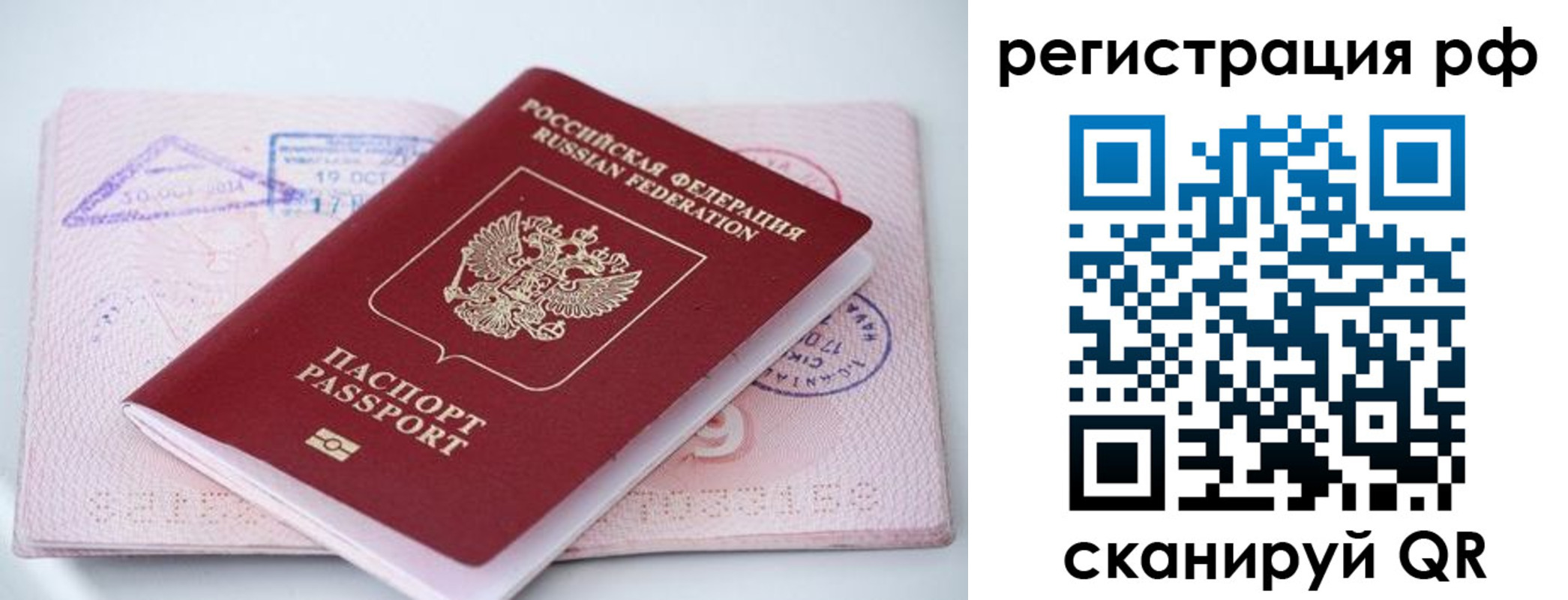 прописка штамп в Дубне